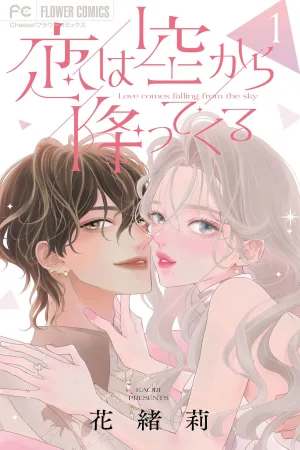 Love Falls from the Sky cover