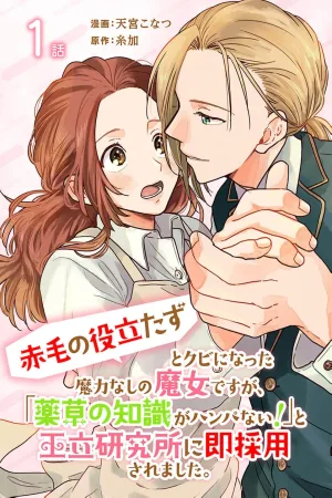 The red haired witch cover