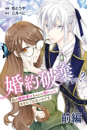 Who Said We Were Engaged? cover