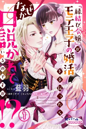 Why Is the Prince Wooing Me When I’m Helping Him Find a Bride? cover