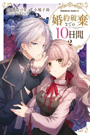 10 Days Until the Engagement is Broken cover