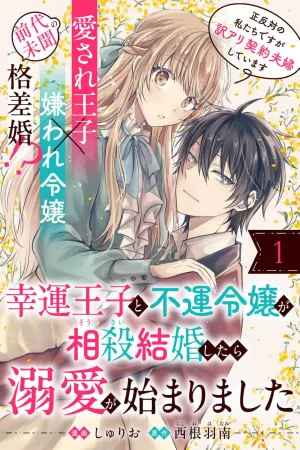 The Lucky Prince and the Unlucky Lady cover