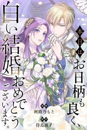 A Perfect Day for a White Marriage cover