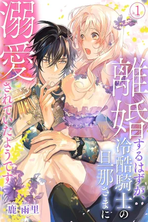 I thought our marriage was over… but my cold knight husband is madly in love with me  cover