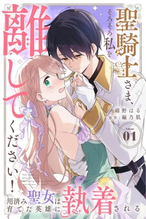 Holy Knight, Please Let Me Go Already! cover
