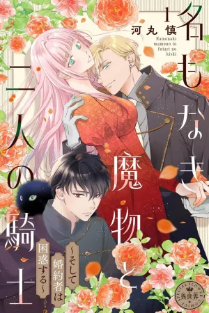  The Nameless Monster and Two Knights: And the Fiancé Is Perplexed cover
