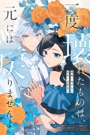 What Is Broken Cannot Be Repaired cover