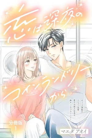 Love at the Midnight Laundromat cover