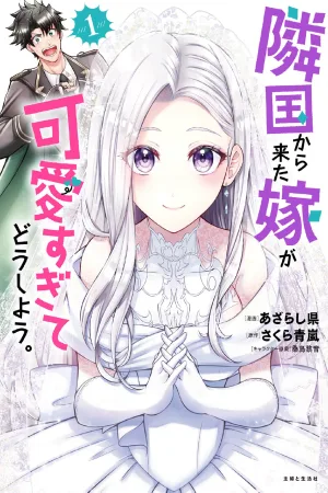 My Wife from the Neighboring Country Is Too Cute, What Should I Do? cover